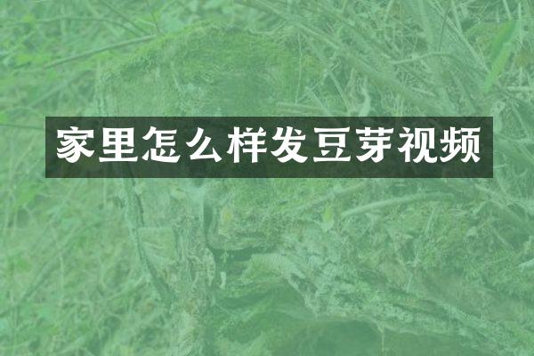 家里怎么样发豆芽视频