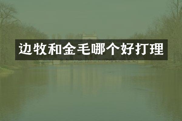 边牧和金毛哪个好打理