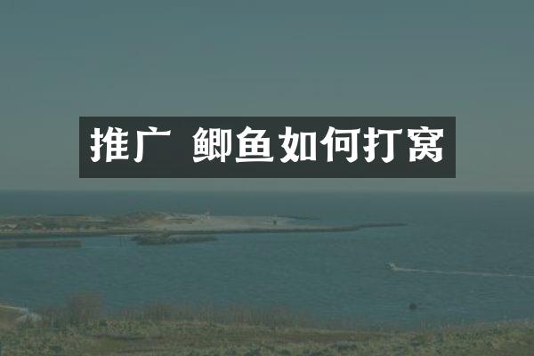 推广 鲫鱼如何打窝