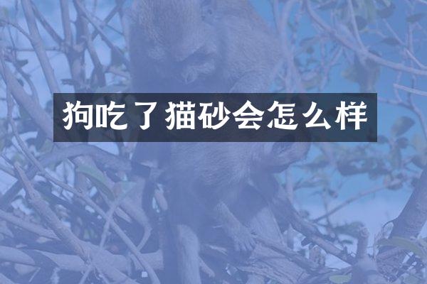 狗吃了猫砂会怎么样