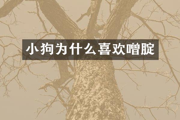 小狗为什么喜欢噌腚