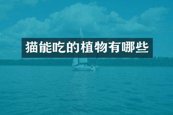 猫能吃的植物有哪些