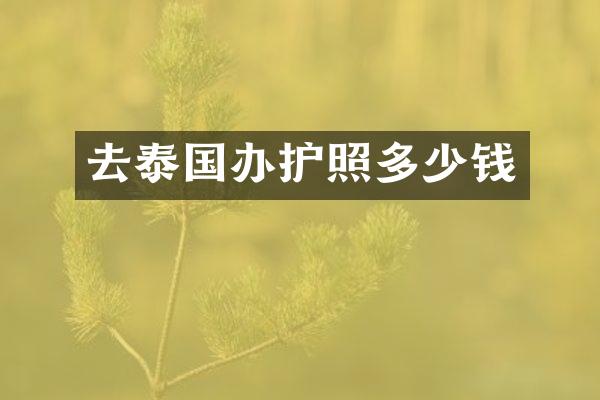 去泰国办护照多少钱