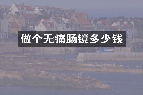 做个无痛肠镜多少钱