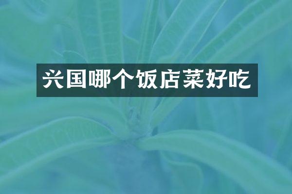 兴国哪个饭店菜好吃