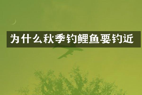 为什么秋季钓鲤鱼要钓近