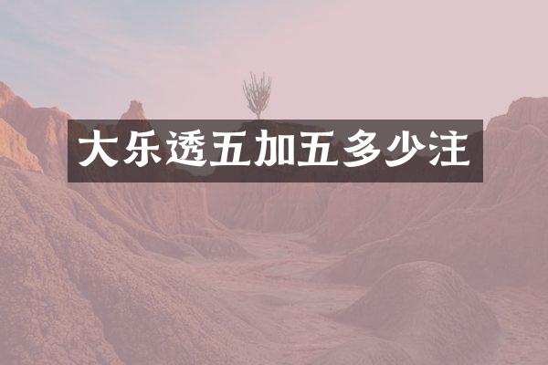 大五加五多少注