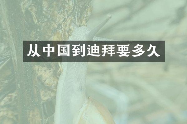 从中国到迪拜要多久