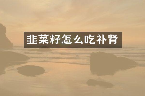 韭菜籽怎么吃补肾