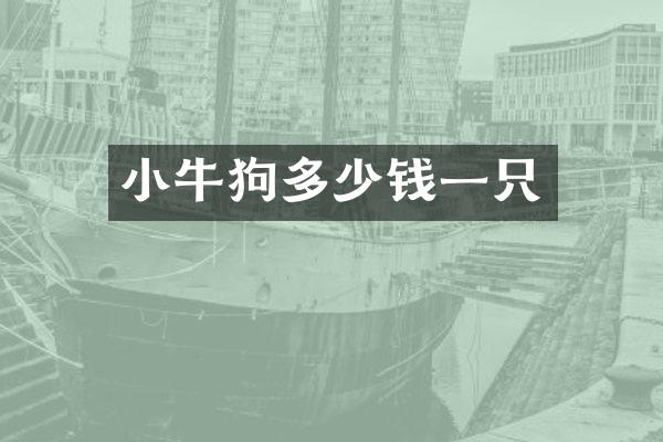 小牛狗多少钱一只