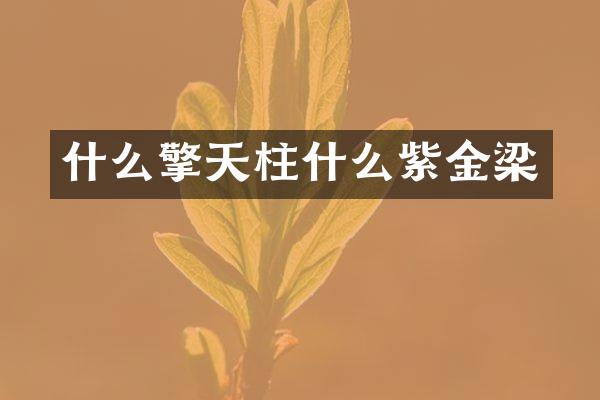 什么擎天柱什么紫金梁