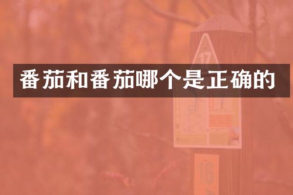 番茄和番茄哪个是正确的