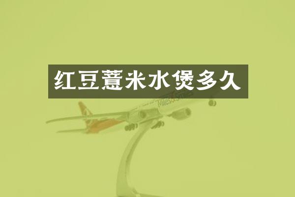 红豆薏米水煲多久