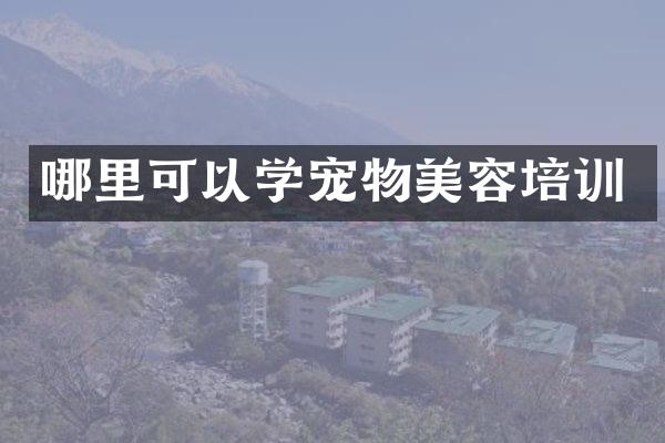 哪里可以学宠物美容培训