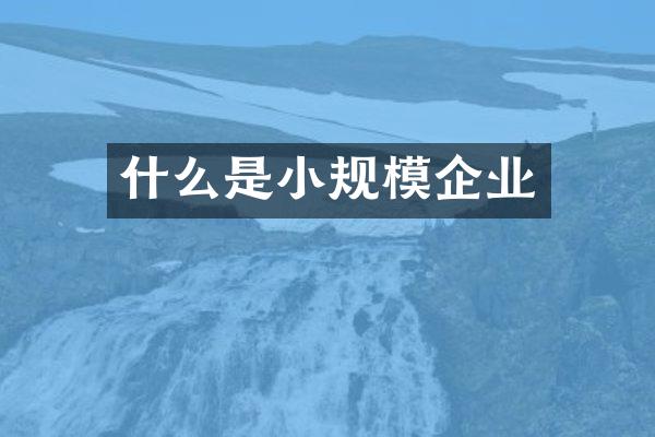 什么是小规模企业