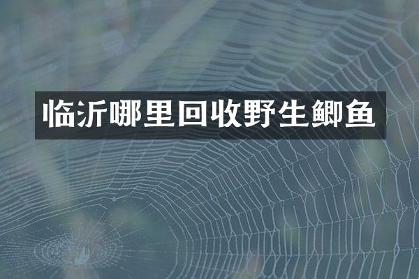 临沂哪里回收野生鲫鱼