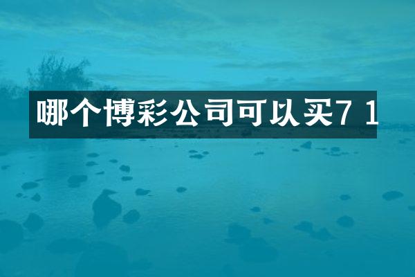 哪个公司可以买7 1