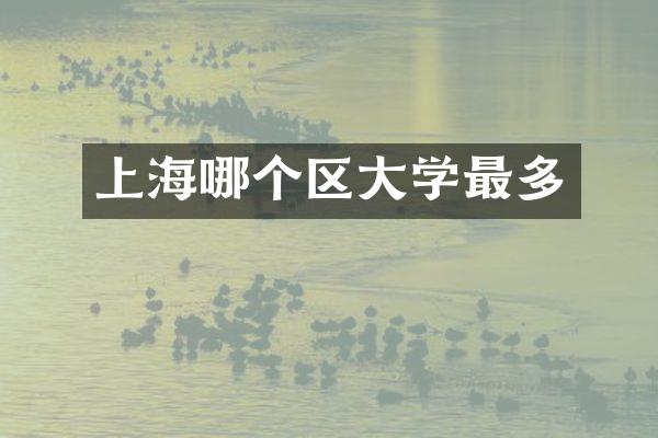 上海哪个区大学最多
