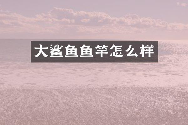 大鲨鱼鱼竿怎么样