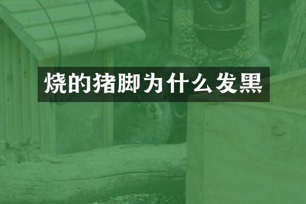烧的猪脚为什么发黑