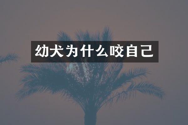 幼犬为什么咬自己