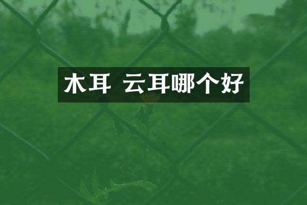 木耳 云耳哪个好