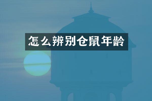 怎么辨别仓鼠年龄