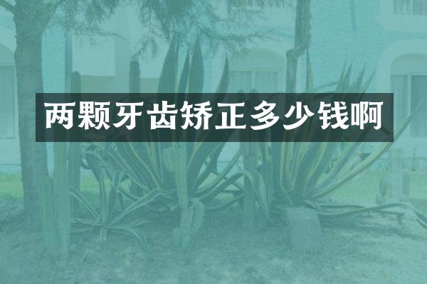 两颗牙齿矫正多少钱啊