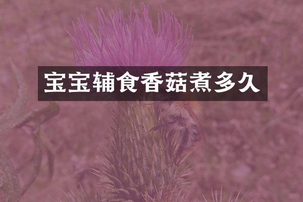 宝宝辅食香菇煮多久