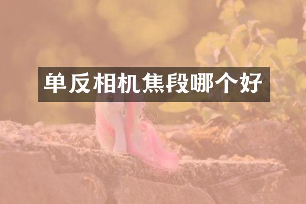 单反相机焦段哪个好