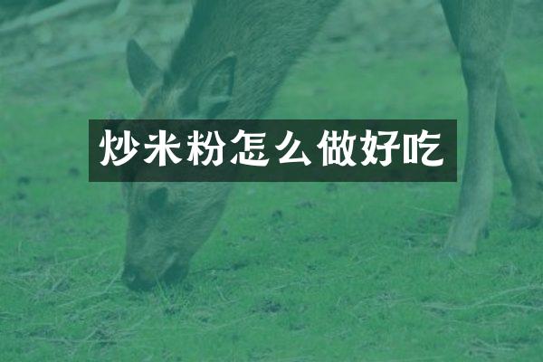 炒米粉怎么做好吃