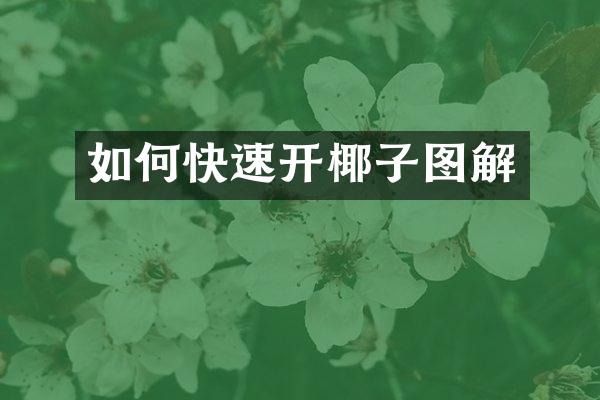 如何快速开椰子图解