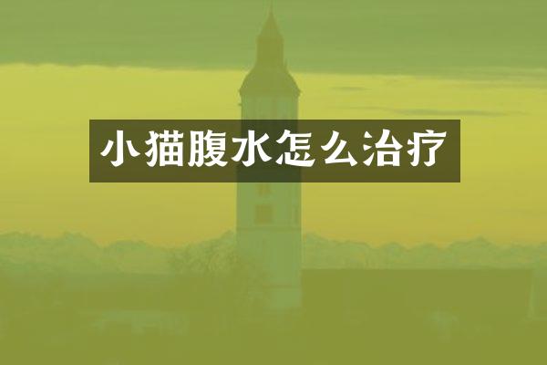 小猫腹水怎么治疗