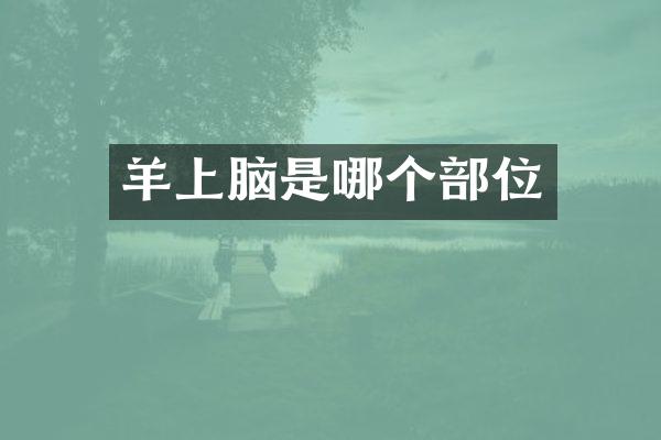 羊上脑是哪个部位