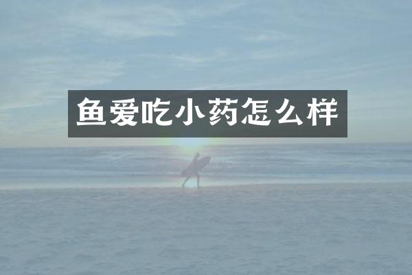 鱼爱吃小药怎么样