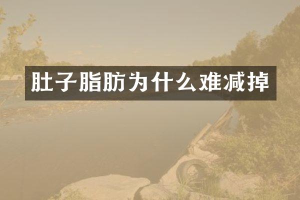 肚子脂肪为什么难减掉