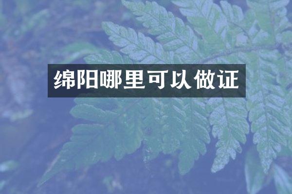 绵阳哪里可以做证
