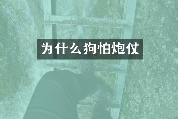 为什么狗怕炮仗