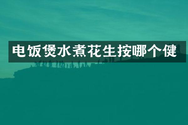 电饭煲水煮花生按哪个健