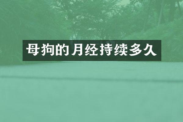 母狗的月经持续多久