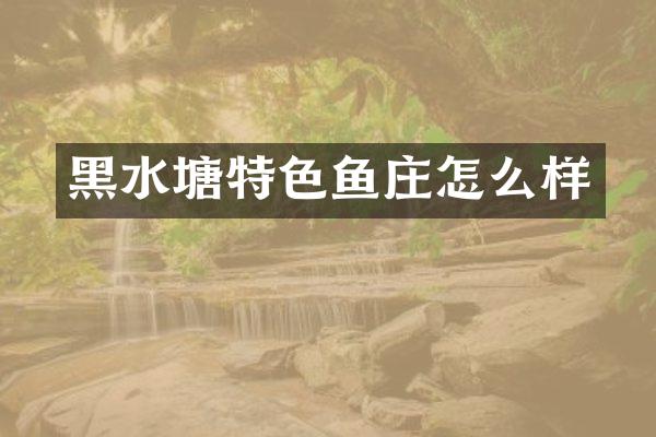 黑水塘特色鱼庄怎么样