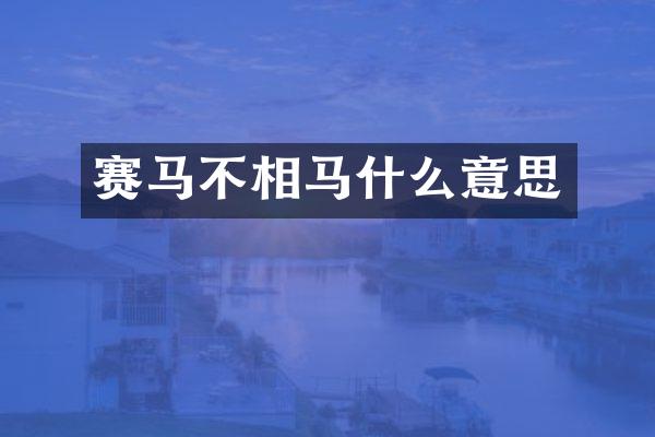 赛马不相马什么意思