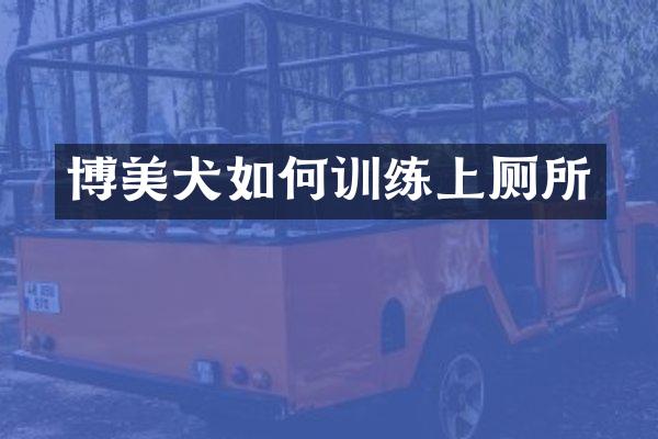 博美犬如何训练上厕所