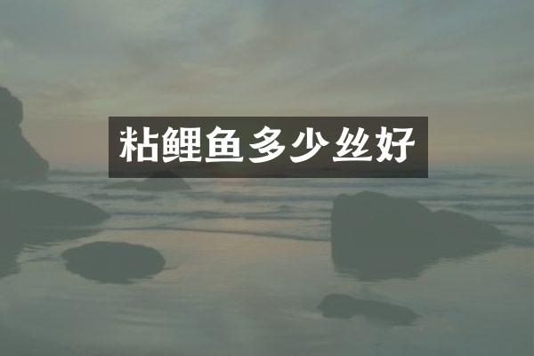 粘鲤鱼多少丝好