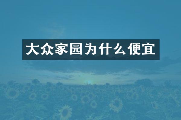 大众家园为什么便宜