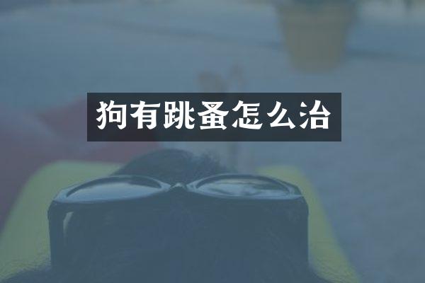 狗有跳蚤怎么治