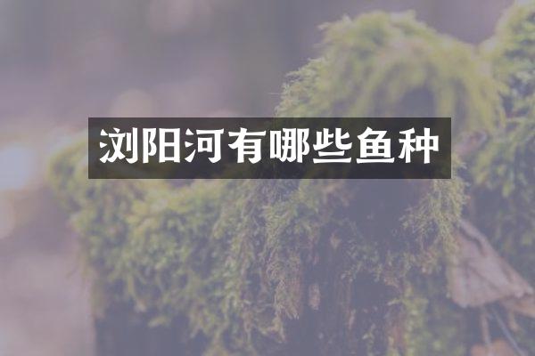 浏阳河有哪些鱼种