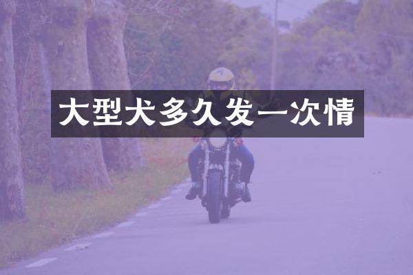 大型犬多久发一次情