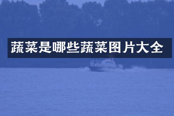 蔬菜是哪些蔬菜图片大全