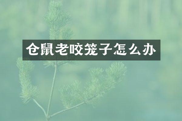 仓鼠老咬笼子怎么办